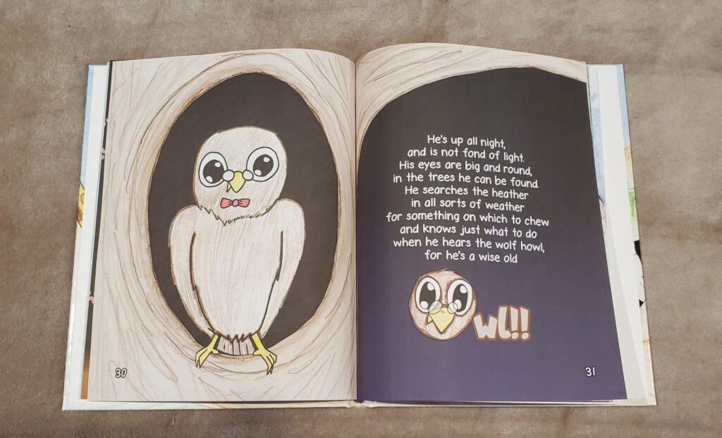 An Aunt's Animal Alphabet - Owl preview